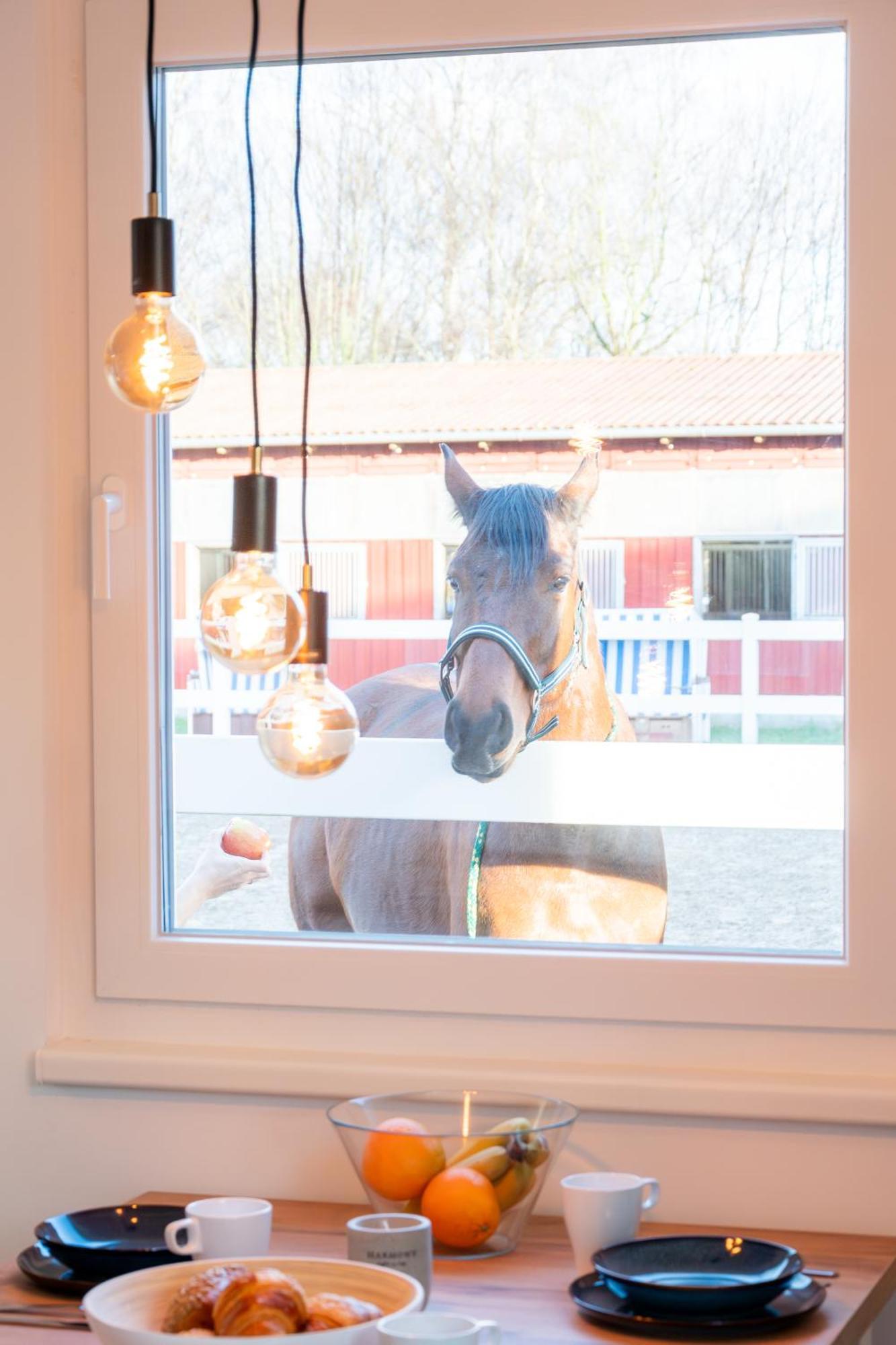 Ferienwohnungen Reiterhof Boltenhagen Bagian luar foto
