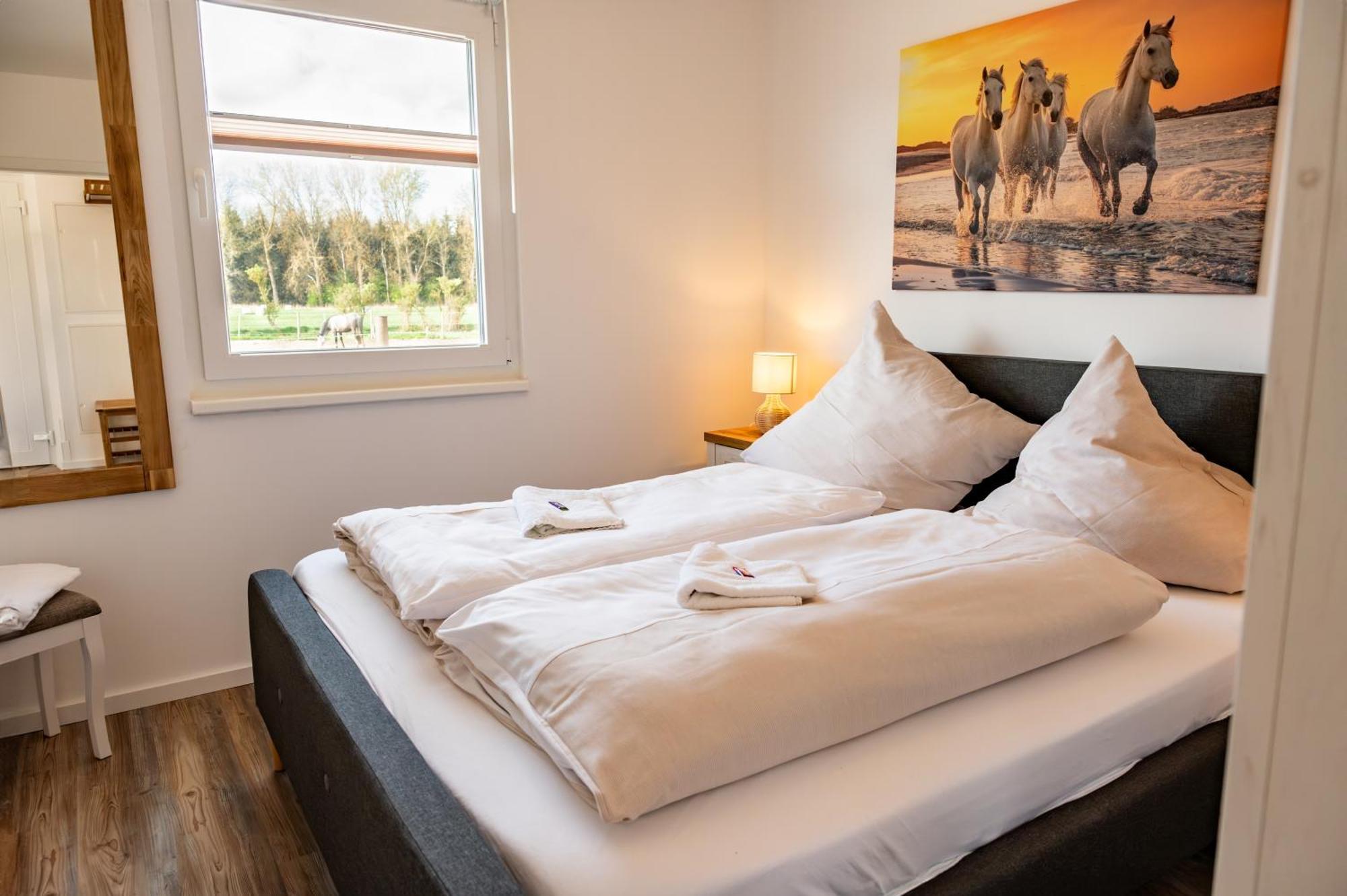 Ferienwohnungen Reiterhof Boltenhagen Bagian luar foto